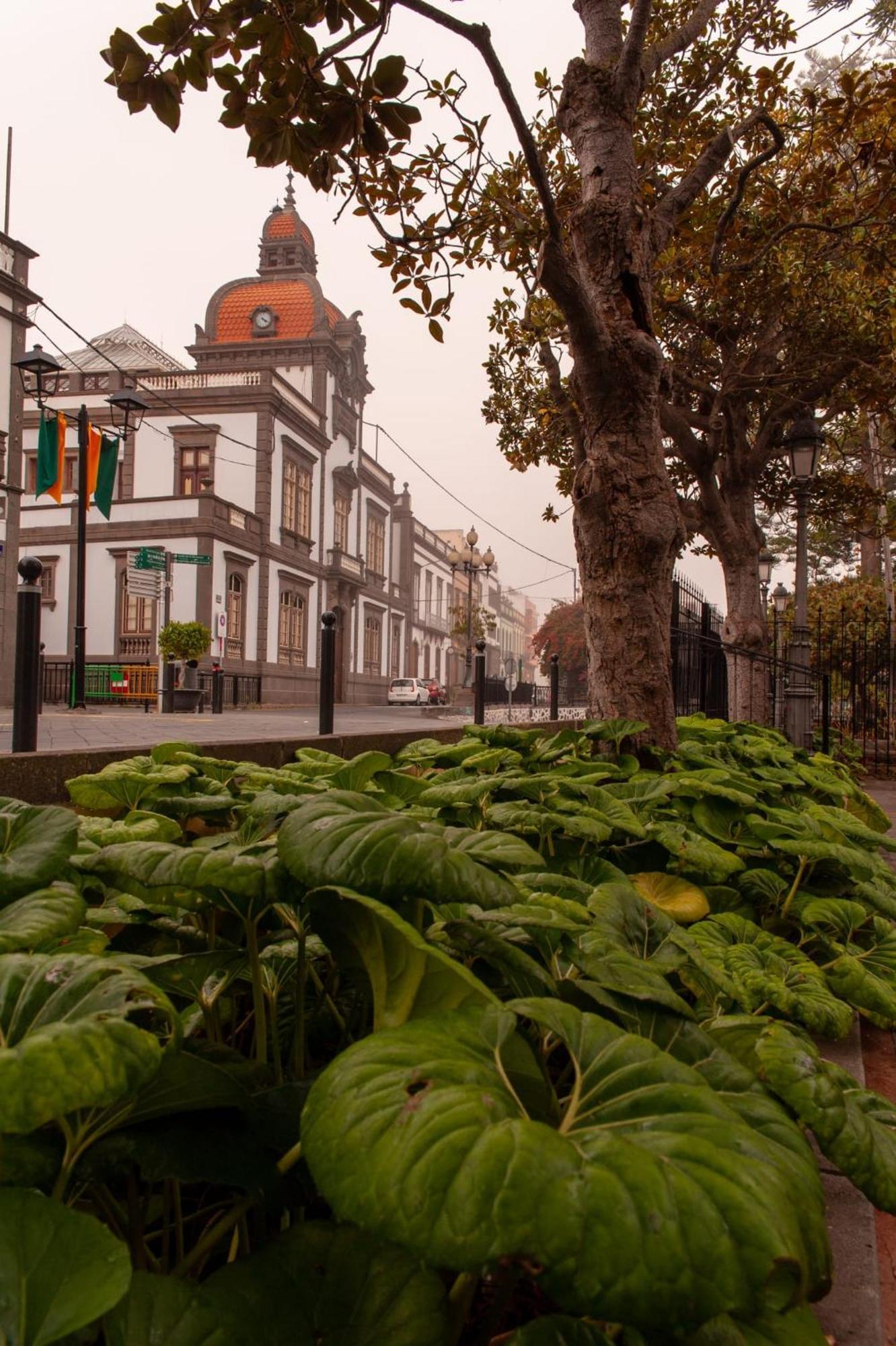 Balcony Spacious 2Br Arucas Historic Center Luaran gambar